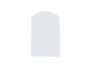 Extra PET Film for LED-SDDF (6.4*9.8cm)